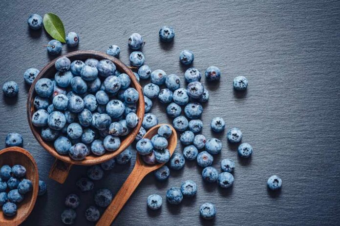 A bowl of fresh blueberries on a dark surface