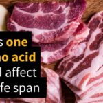 Cutting Back on One Amino Acid Increased Mice Lifespan Up