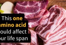 Cutting Back on One Amino Acid Increased Mice Lifespan Up