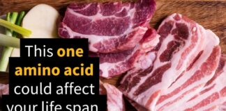Cutting Back on One Amino Acid Increased Mice Lifespan Up
