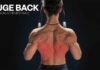 Bigger Back Without Pull-Up Pain? How I Grew a THICK Upper Back: Inverted Rows (Full Guide)