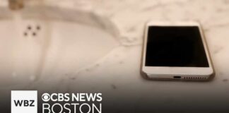 Prolonged phone use on the toilet may increase risk of