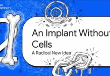 Scientists Create “Off-the-Shelf” Cartilage That Safely Guides