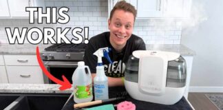 The Best Way to Clean Your Humidifier
