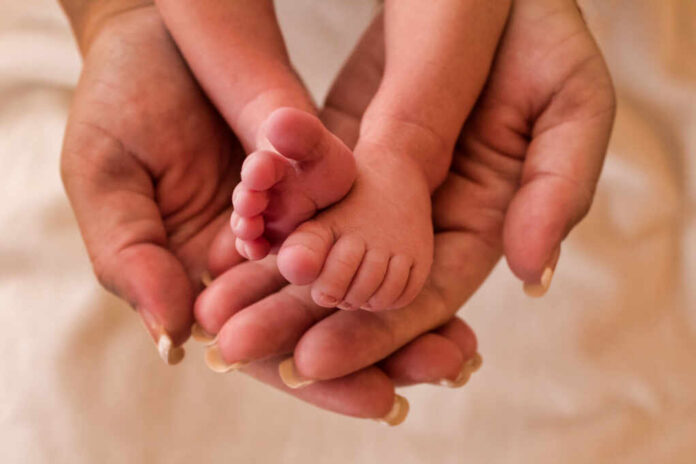 shutterstock_1247118406.jpg A close-up of a babys feet being held gently in adult hands