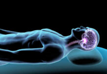 Brain Scans Reveal Nature’s Hidden Power Illustration of a human figure with a highlighted brain