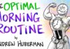 The Optimal Morning Routine - Andrew Huberman