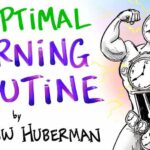 The Optimal Morning Routine - Andrew Huberman
