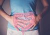 The Overlooked Key to Gut Health Person holding their stomach with a graphic of intestines overlayed