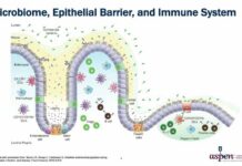 Current Understandings of the Role of the Gut in Autoimmune