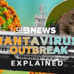 EXPLAINED: What is the deadly Hantavirus | 9 News Australia