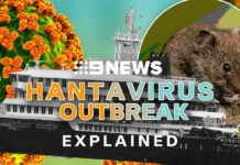 EXPLAINED: What is the deadly Hantavirus | 9 News Australia