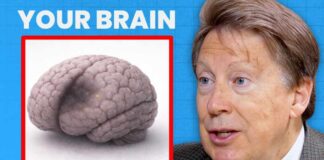 This Is How Insulin Resistance Destroys Your Brain | Dr. Dale Bredesen
