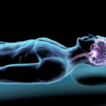Metabolism’s SHOCKING Link to Brain Shrinkage Illustration of a human figure with a highlighted brain