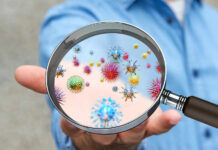 Virus Lingers in Semen for Years – Shocking Discovery! A person holding a magnifying glass showing colorful microorganisms