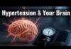 Hypertension Damages the Brain Earlier Than We Thought: New Findings Explained