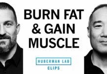 Shredded Without Bulking? Here’s The Trick Body Recomposition: How to Burn Fat & Gain Muscle | Alan Aragon & Dr. Andrew Huberman