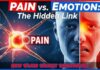 The Secret Behind Chronic Pain Relief!