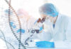 Longevity Gene Twist Stuns Researchers Scientist examining samples under a microscope in a laboratory