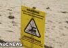 Poop Water Closes Iconic Beaches Bacteria shuts down beaches coast to coast in the U.S.