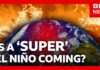 Climate Prediction Center: Summer El Niño Warning How ‘super’ El Niño could bring chaos to the world’s weather | BBC News