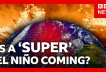 Climate Prediction Center: Summer El Niño Warning How ‘super’ El Niño could bring chaos to the world’s weather | BBC News