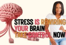 How Stress Impacts Your Brain, Memory & Decision-Making