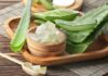 Aloe vera leaves and gel in a wooden bowl