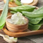 Aloe vera leaves and gel in a wooden bowl