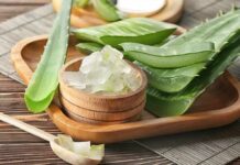 Aloe vera leaves and gel in a wooden bowl
