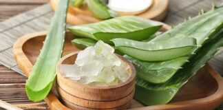 Aloe vera leaves and gel in a wooden bowl