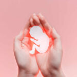 Hands holding a paper cutout of a fetus against a pink background