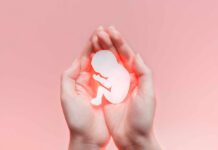 Preterm Births: First-Hour Pumping Changes Everything Hands holding a paper cutout of a fetus against a pink background