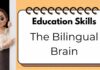 How Being Bilingual Helps Your Brain Education Skills: The Bilingual Brain 🧠