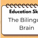 Education Skills: The Bilingual Brain 🧠