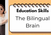 Education Skills: The Bilingual Brain 🧠