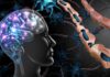 Human brain and damaged myelin sheath illustration
