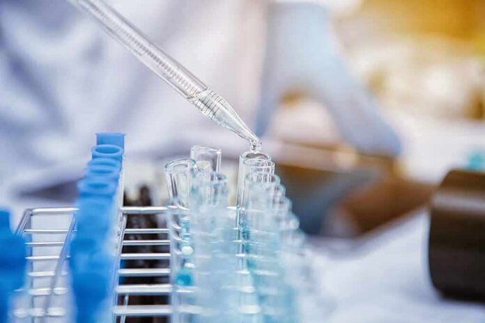 1783888780498-gmz0t4-shutterstock-2017905212 Pipette dispensing liquid into test tubes in a laboratory rack