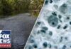 Brain-eating amoeba leaves one child dead, teen in critical condition