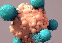 Cancer Death Sentence? Mayo Says Not Anymore Mayo Clinic Minute - New approaches bring progress in treating multiple myeloma