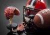 Brain model beside football helmet and ball