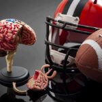 Brain model beside football helmet and ball