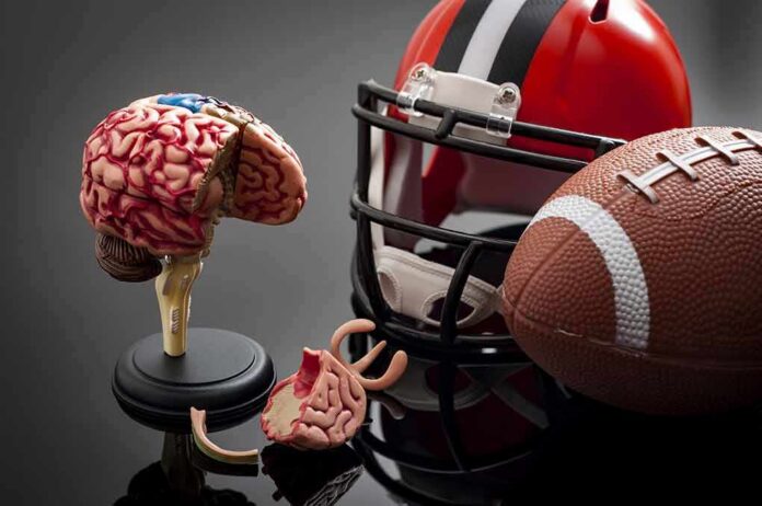 Brain model beside football helmet and ball